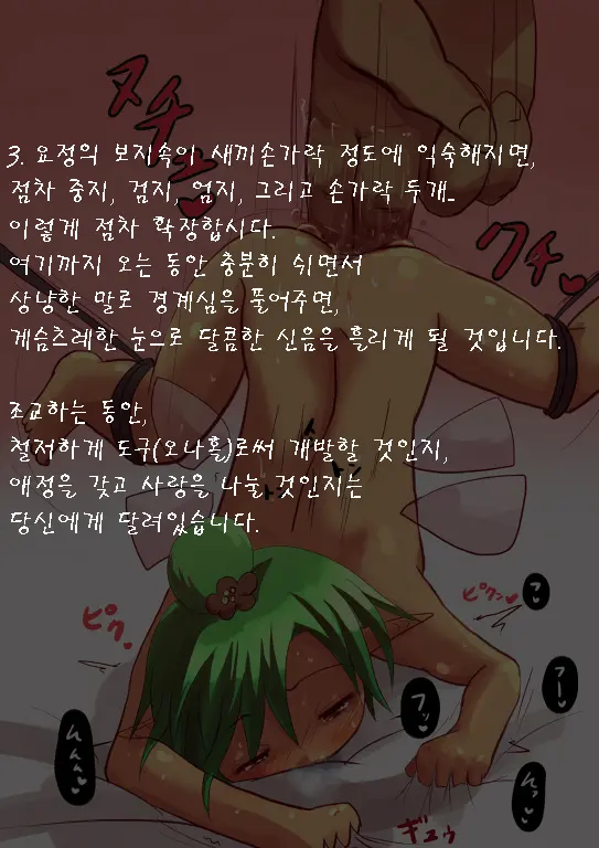 Onaho Yousei O Tsukurou | 오나홀 요정을 만들어보자!